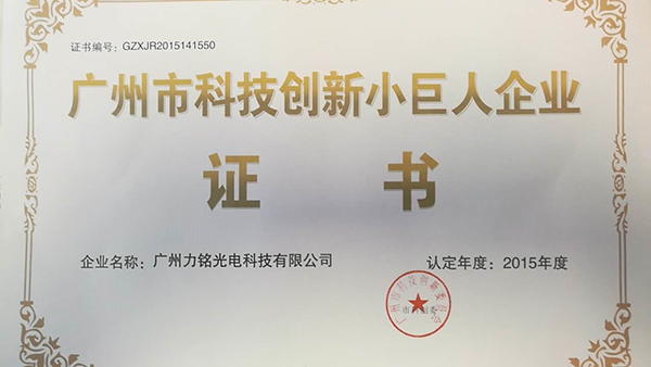 Guangzhou Vangaa Optoelectronic Technology Little Giant Certificate Гуанчжоу Vangaa Optoelectronic Technology Маленький гигантский сертификат
